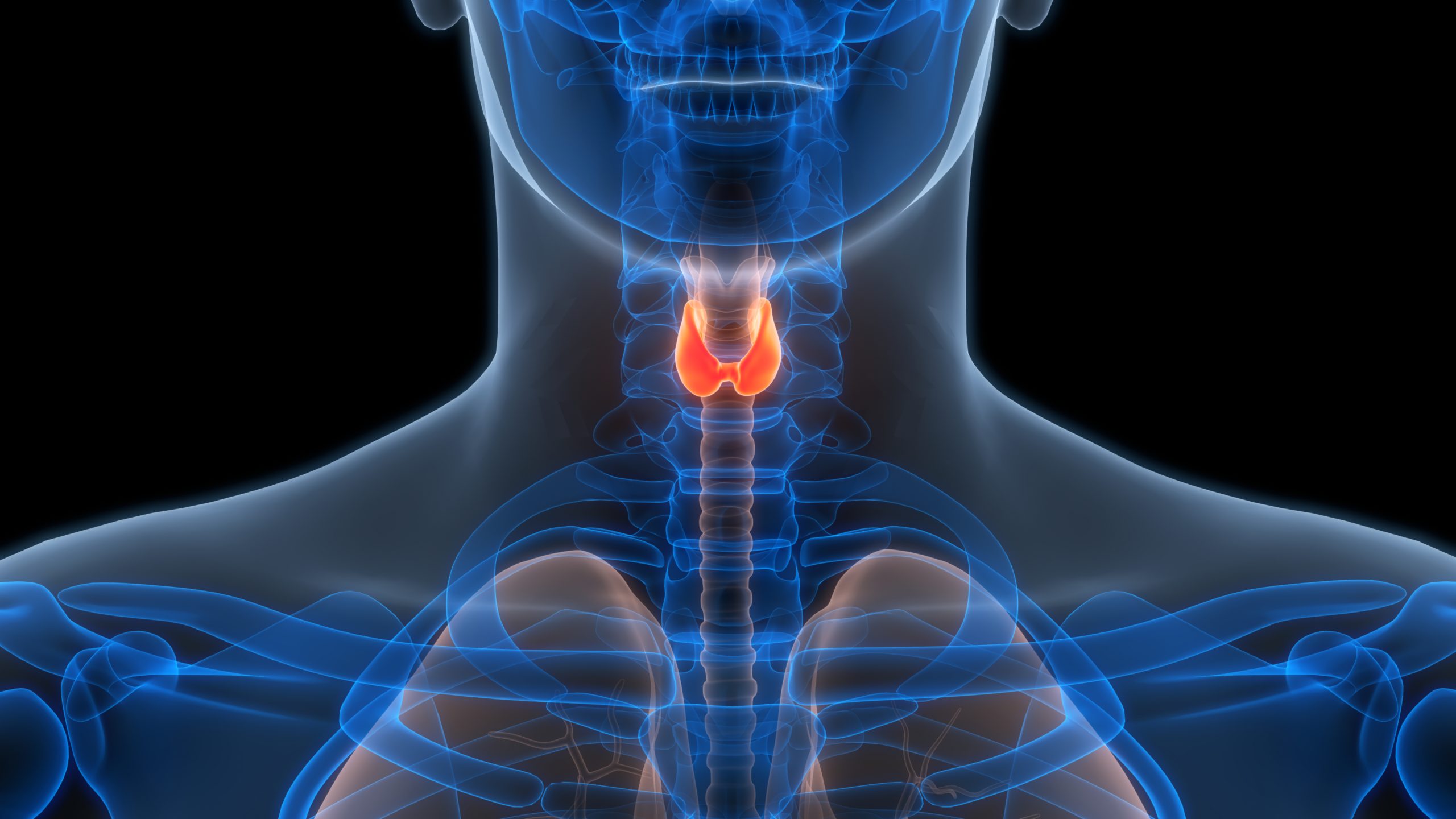 iStock 2162666385 scaled