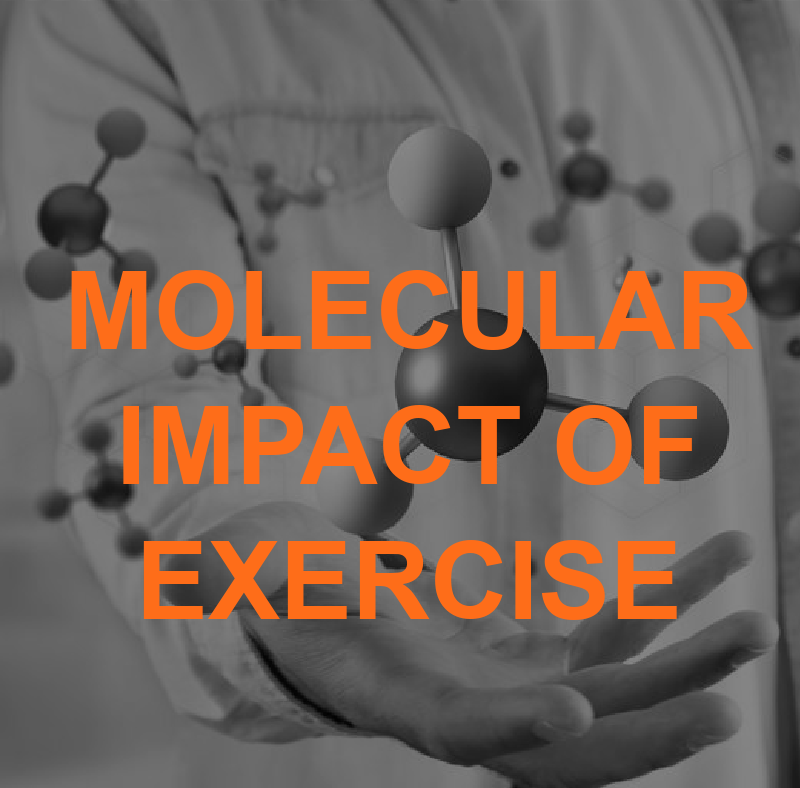 Featured Image MOLECULAR