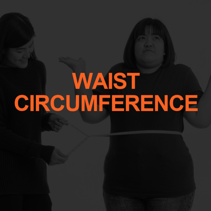 Waist Circumference vs BMI: Helping Clients Measure Up 2 WAIST CIRCUMFERENCE