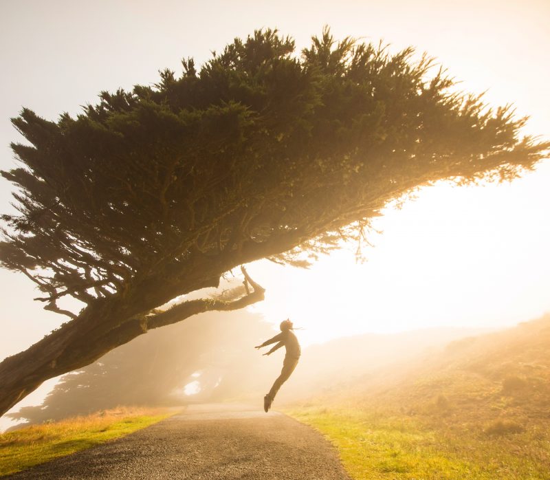 person jumping up toward a tree